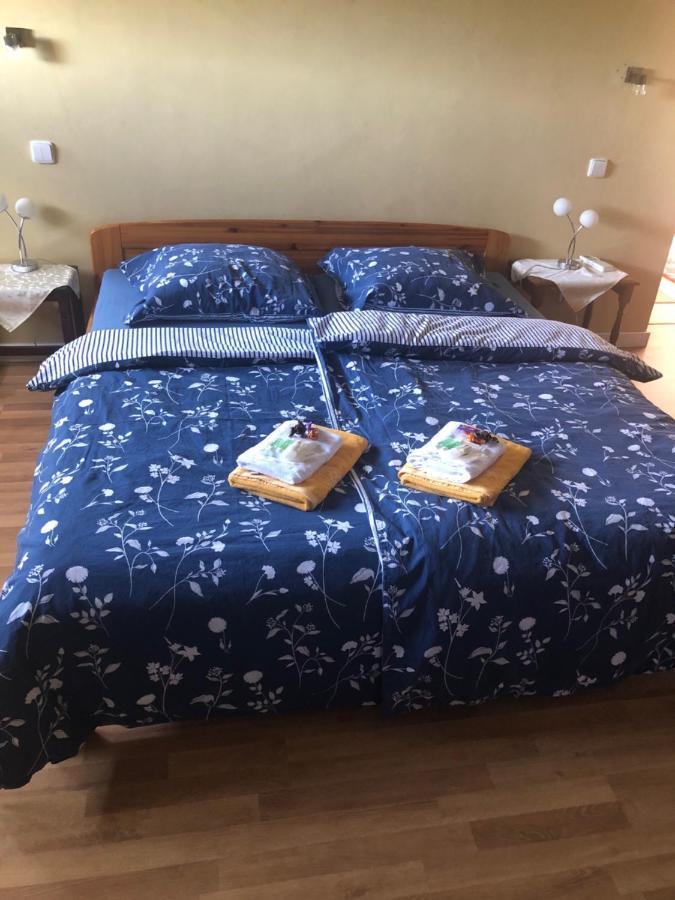 Ubytovani V Soukromi Rodinne Vily V Decine Exterior foto